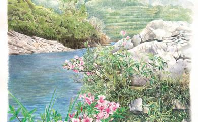 Rhododendron kanehirae E.H.Wilson 烏來杜鵑