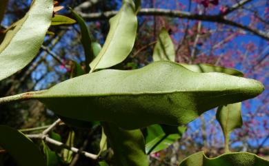 20140402092251_425296.jpg