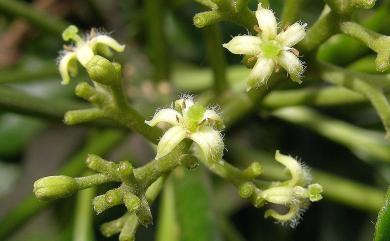 20130926234944_202792.jpg