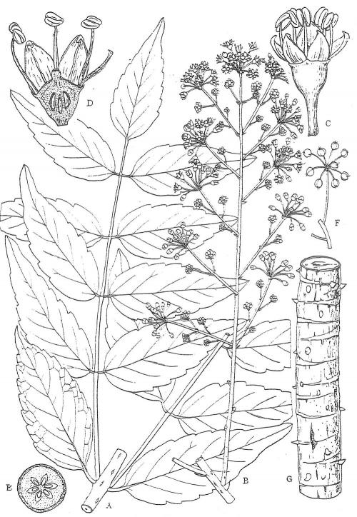 F_3_309
