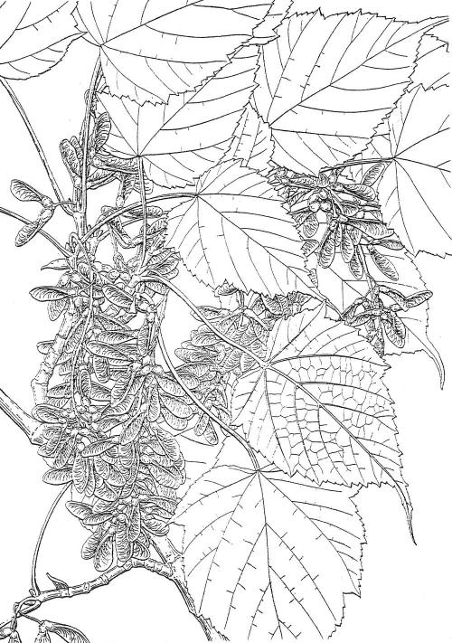 F_3_180