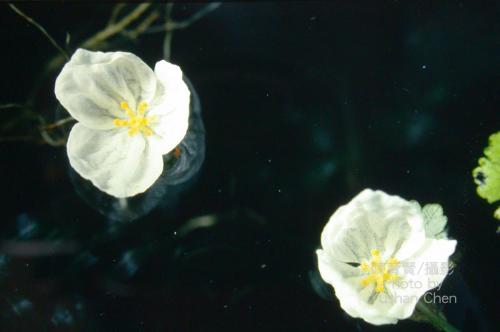 20101024102238_417656.jpg
