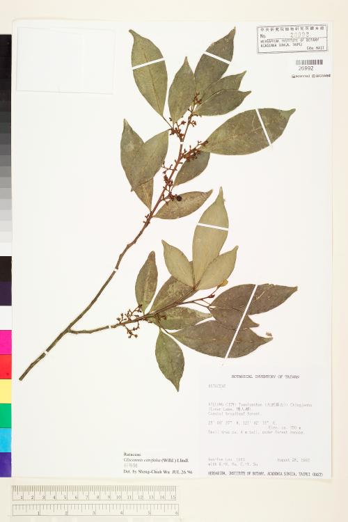 HAST 00026992 HAST 00026992