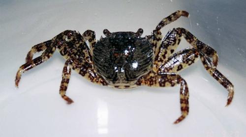 20110808210717_311106.jpg