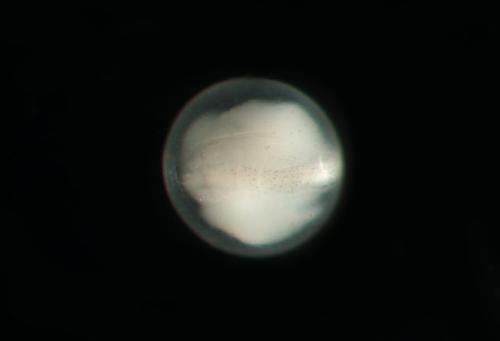 ASIZP0078692