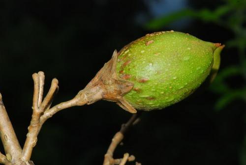 20140429182741_204632.jpg