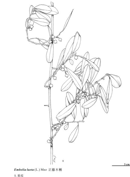 KIN-01-401