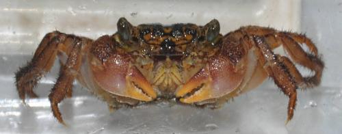 20110808205804_311136.jpg
