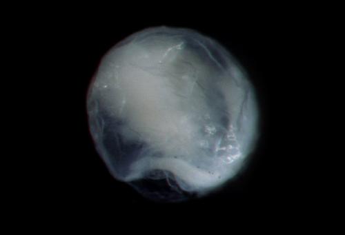 ASIZP0078622