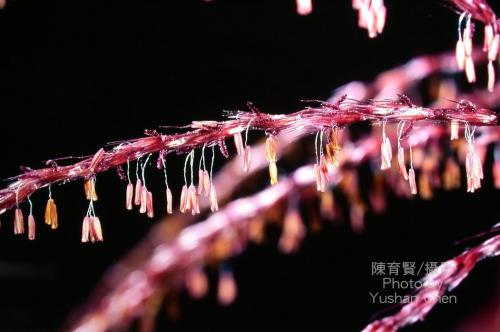 2010114191624_201590.jpg