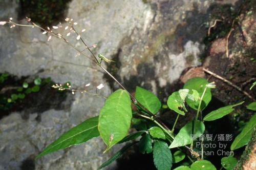 20101110104154_203149.jpg