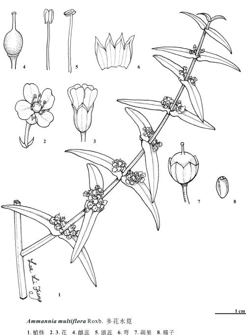 KIN-01-359
