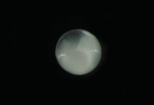 ASIZP0078489