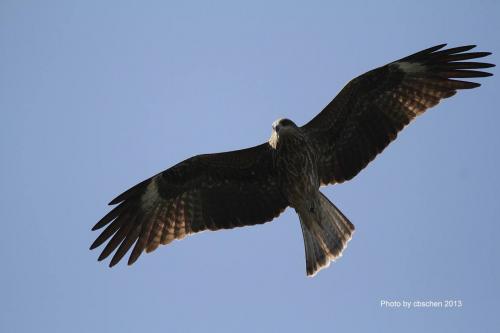 20170715201637_404610_4.jpg 20170715201637_404610_4.jpg