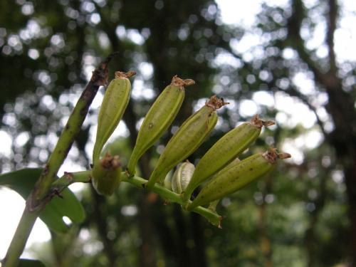 2010828212317_201973.jpg