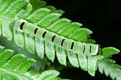 201086233255_346104.jpg 201086233255_346104.jpg