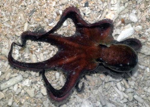 20110722161035_418421.jpg 20110722161035_418421.jpg