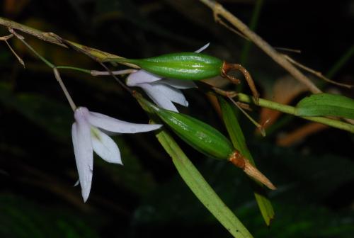 20130714174113_400849.jpg