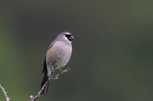 20121024150107_380359.jpg