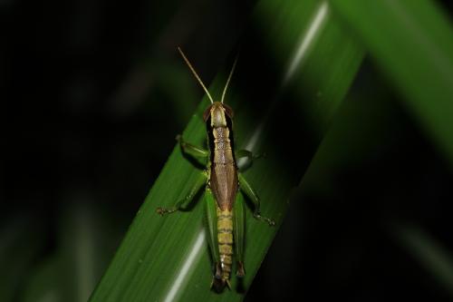 20150421175930_428053_0.jpg