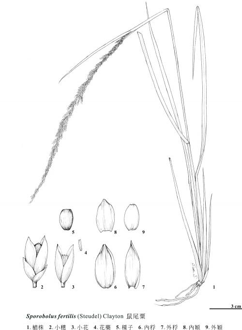 KIN-02-497