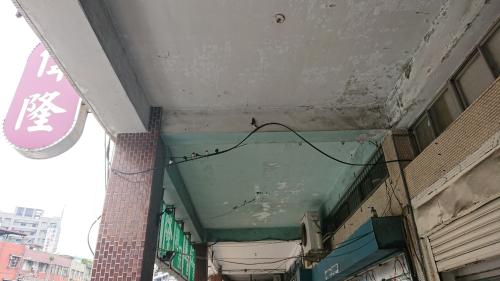 家燕