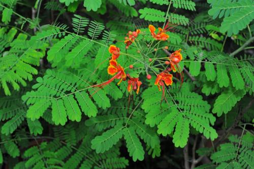 20110731171406_417889.jpg