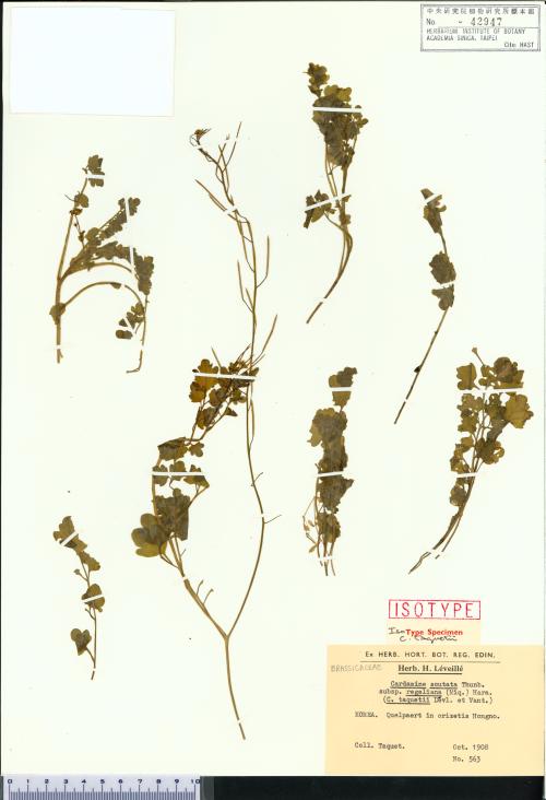 HAST 00042947