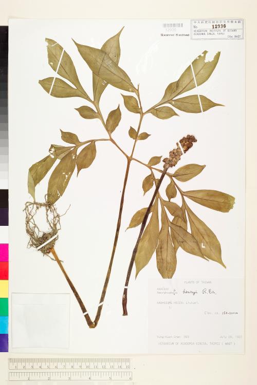 HAST 00012930 HAST 00012930