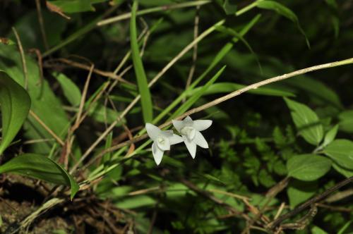 20130714174107_400849.jpg