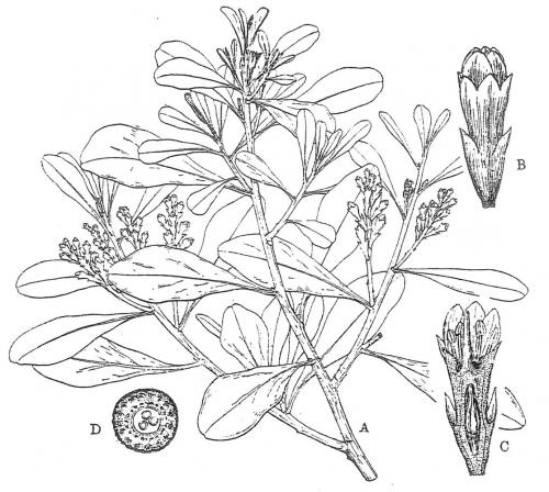 F_3_301