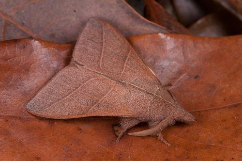 121008 宜蘭 福山植物園 059_800ori