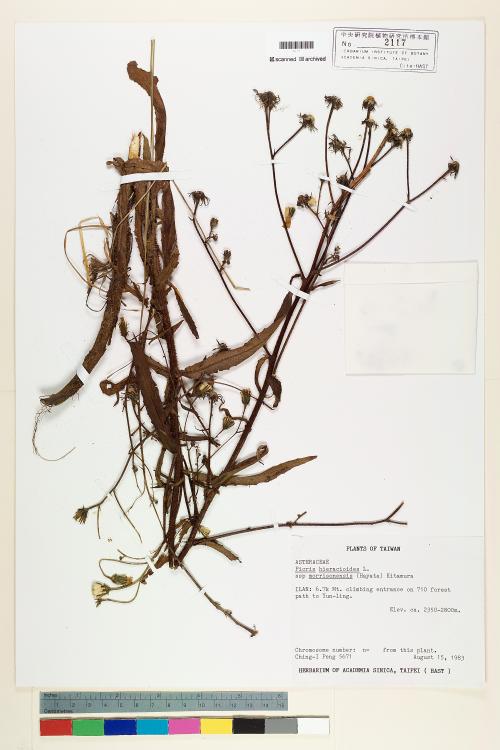 HAST 00002117 HAST 00002117