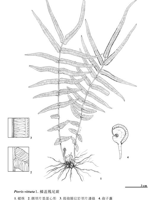 KIN-01-53