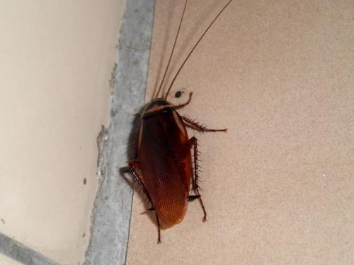 20130609184730_330146.jpg