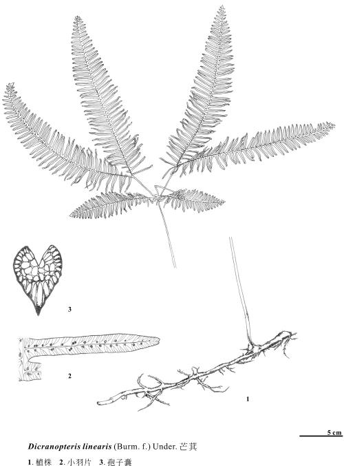 KIN-01-35 KIN-01-35