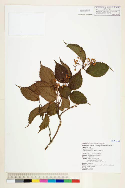 HAST 00065496 HAST 00065496