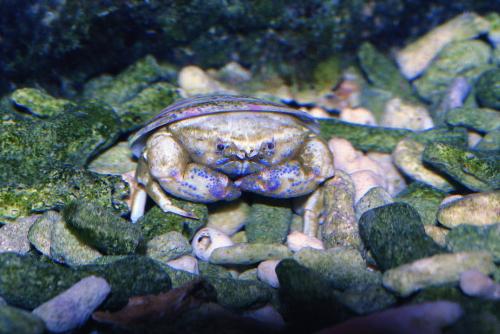 20108915504_310980.jpg