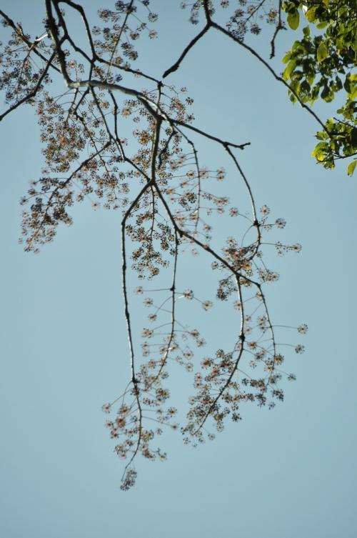 20130722173929_202297.jpg