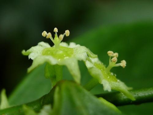 20140426214055_202955.jpg