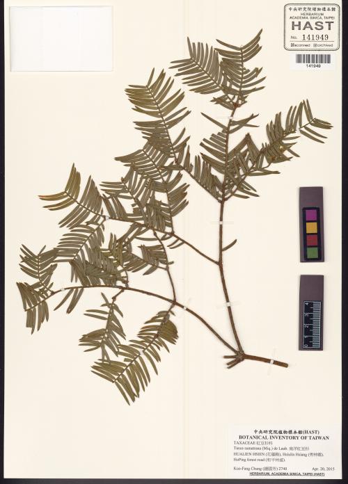 HAST 00141949