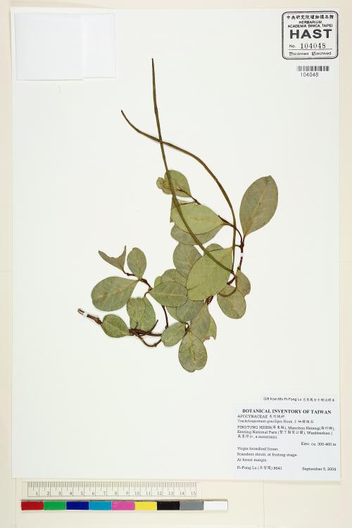 HAST 00104048