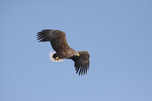 20121024102528_380111.jpg 20121024102528_380111.jpg