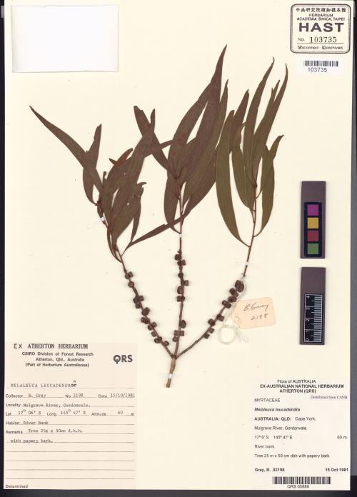HAST 00103735