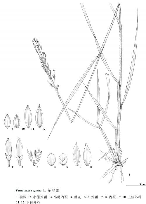 KIN-02-463 KIN-02-463