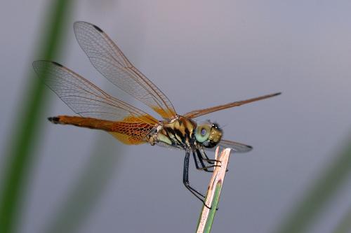 20101027213746_348323.jpg