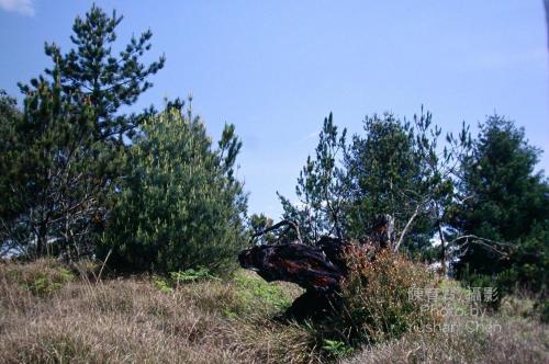 2010102023375_201108.jpg