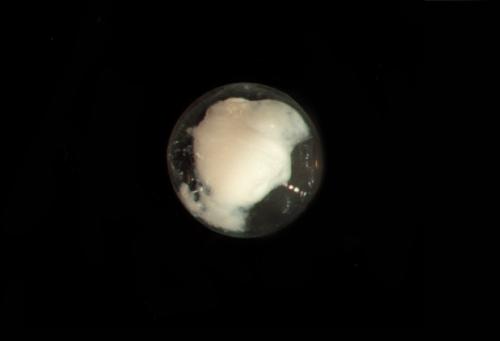 ASIZP0078675