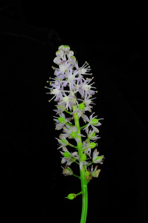 20110127175359_201830.jpg
