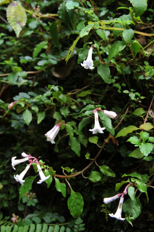 20110730230742_204345.jpg